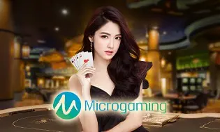 Microgaming casino