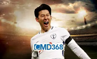 cmd 368 sports